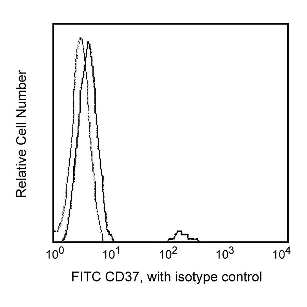 BD FITC Mouse Anti-Human CD37