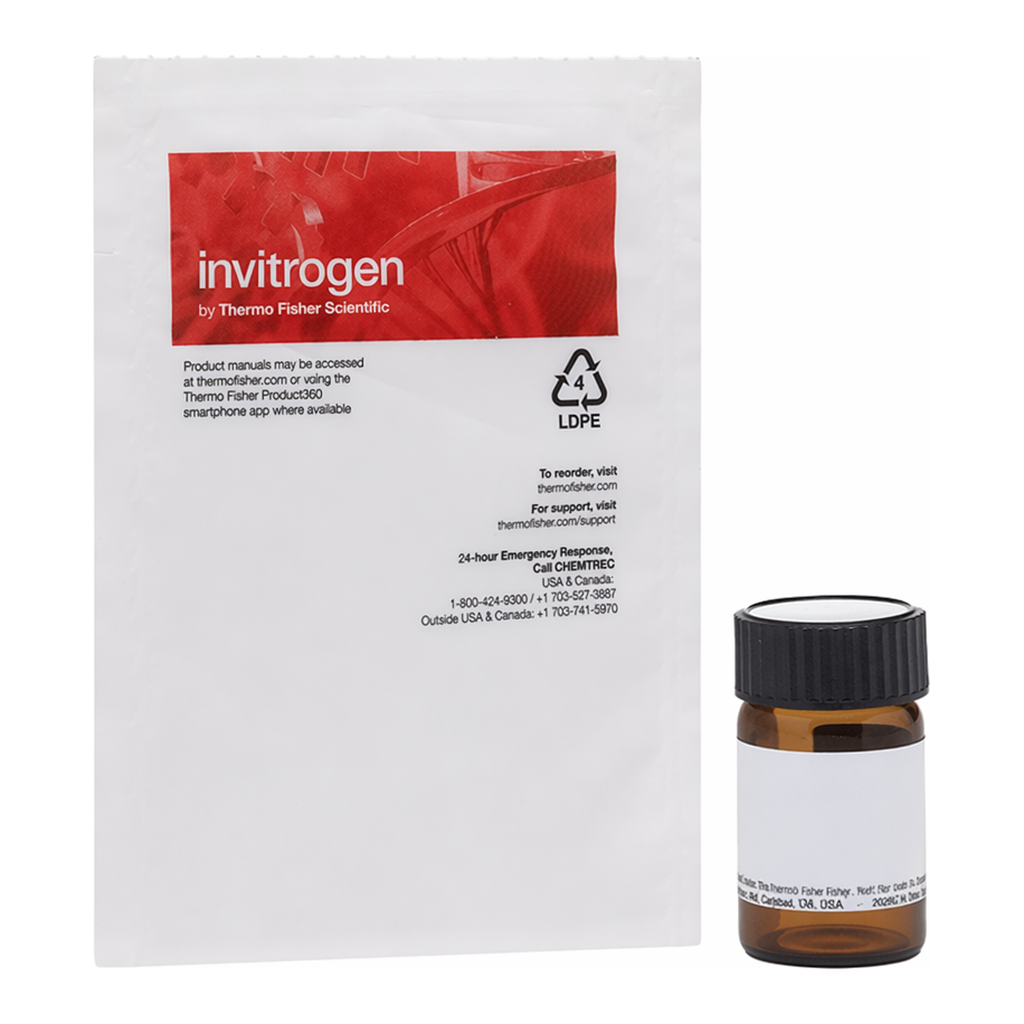 Thermo Fisher Scientific BrdU (5-Bromo-2`-Deoxyuridine)