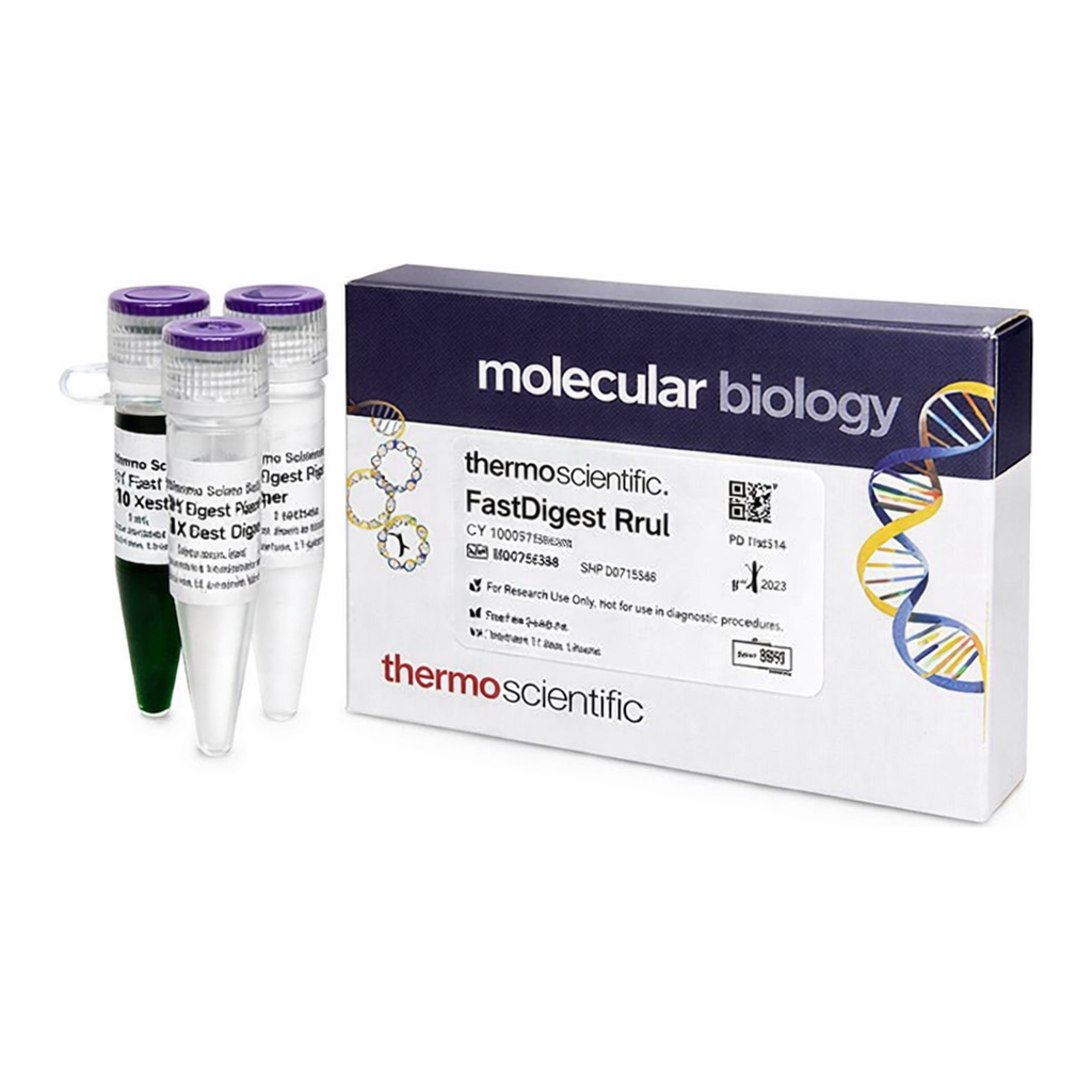 Thermo Fisher Scientific FastDigest RruI