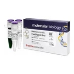 Thermo Fisher Scientific FastDigest RruI