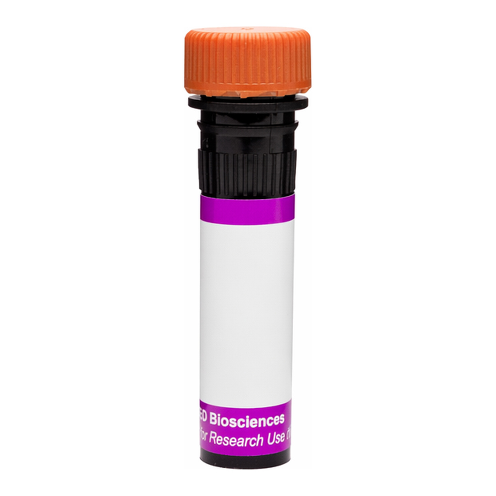 BD BV605 Rat Anti-Mouse Vα 8.3 T-Cell Receptor