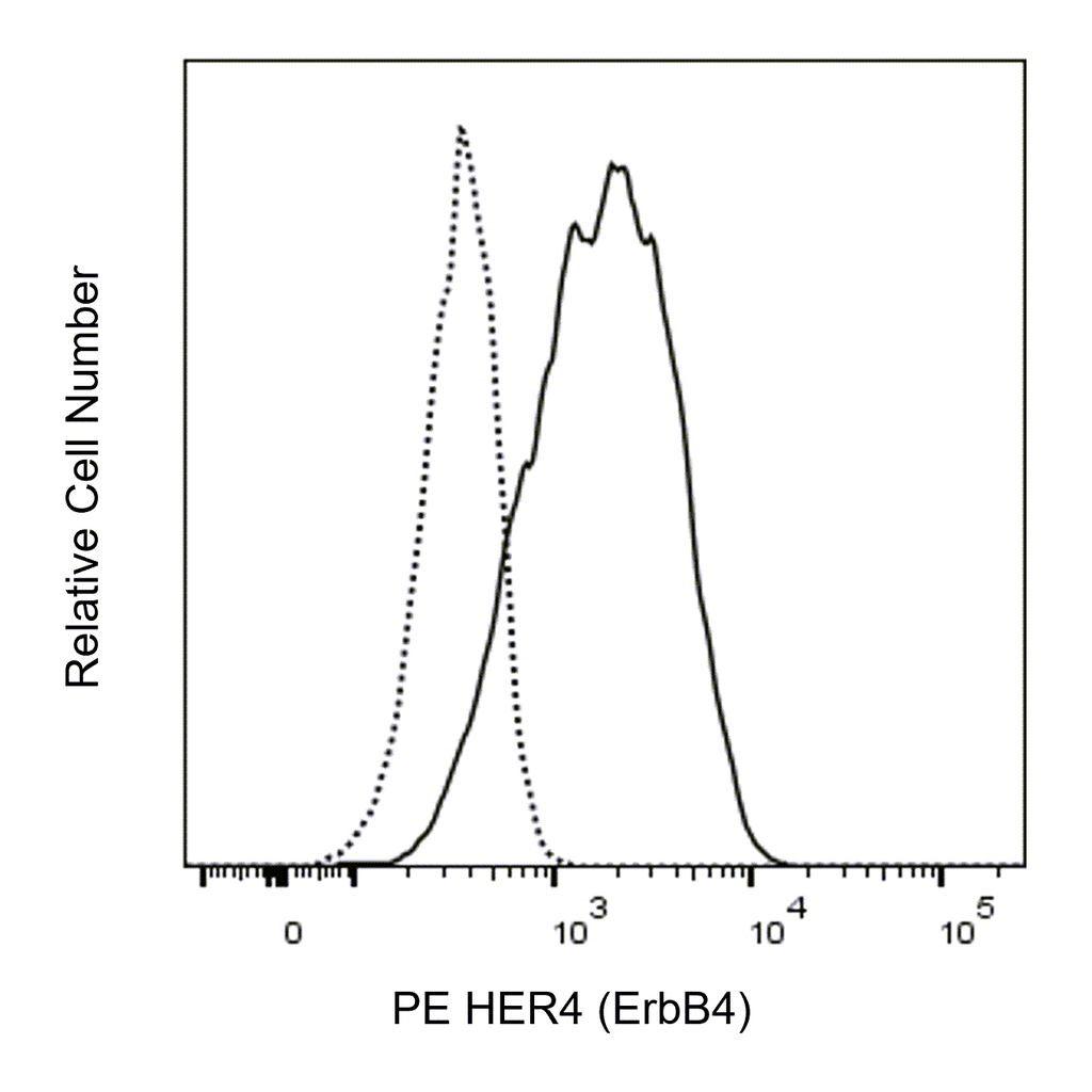 BD PE Rat Anti-Human HER4 (ErbB4)
