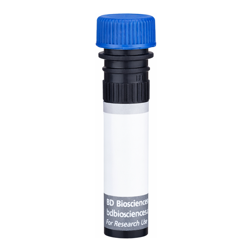 BD BUV496 Mouse Anti-Human CD268 (BAFF Receptor)