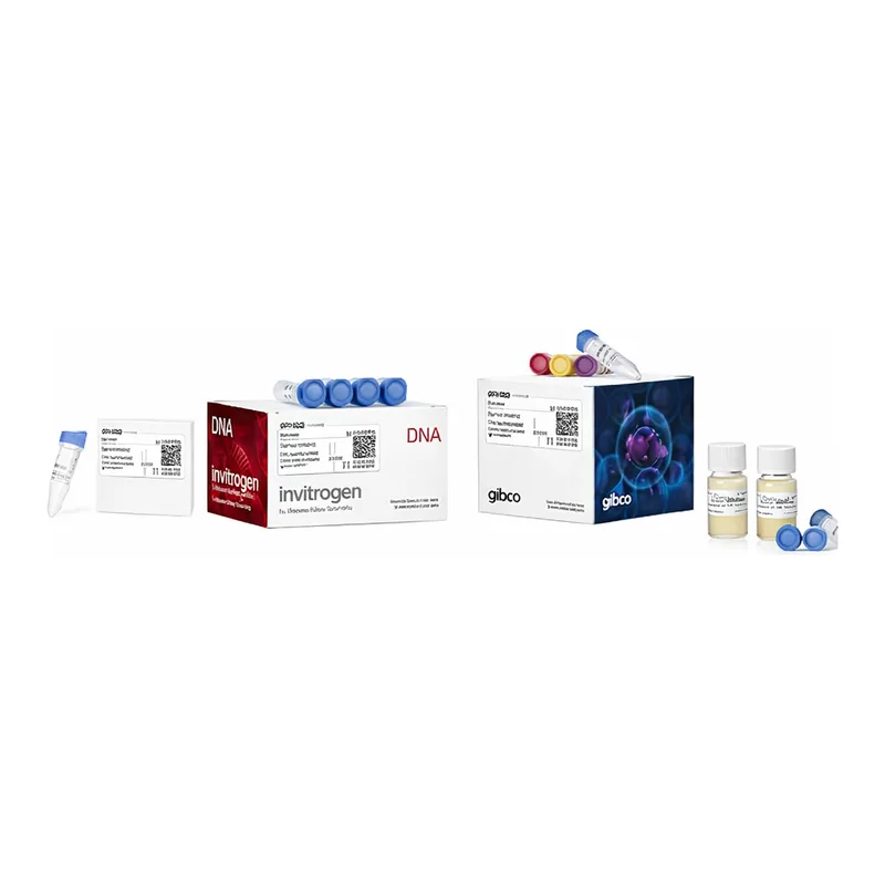 Thermo Fisher Scientific Bac-to-Bac N-His TOPO Expression System