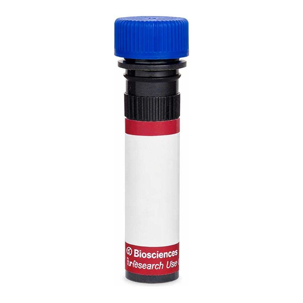 BD R718 Rat Anti-Mouse Vα 8.3 T-Cell Receptor