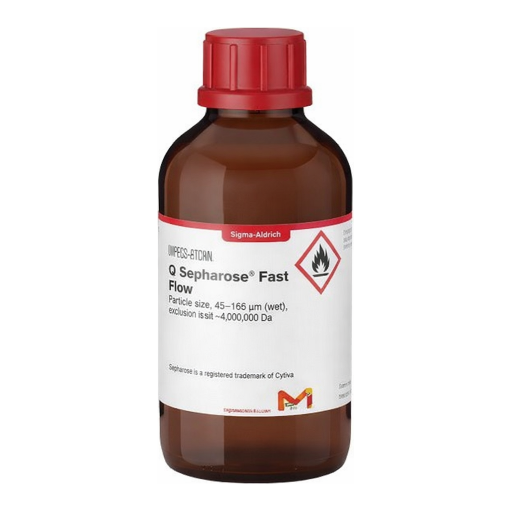 Merck Q Sepharose(TM) Fast Flow