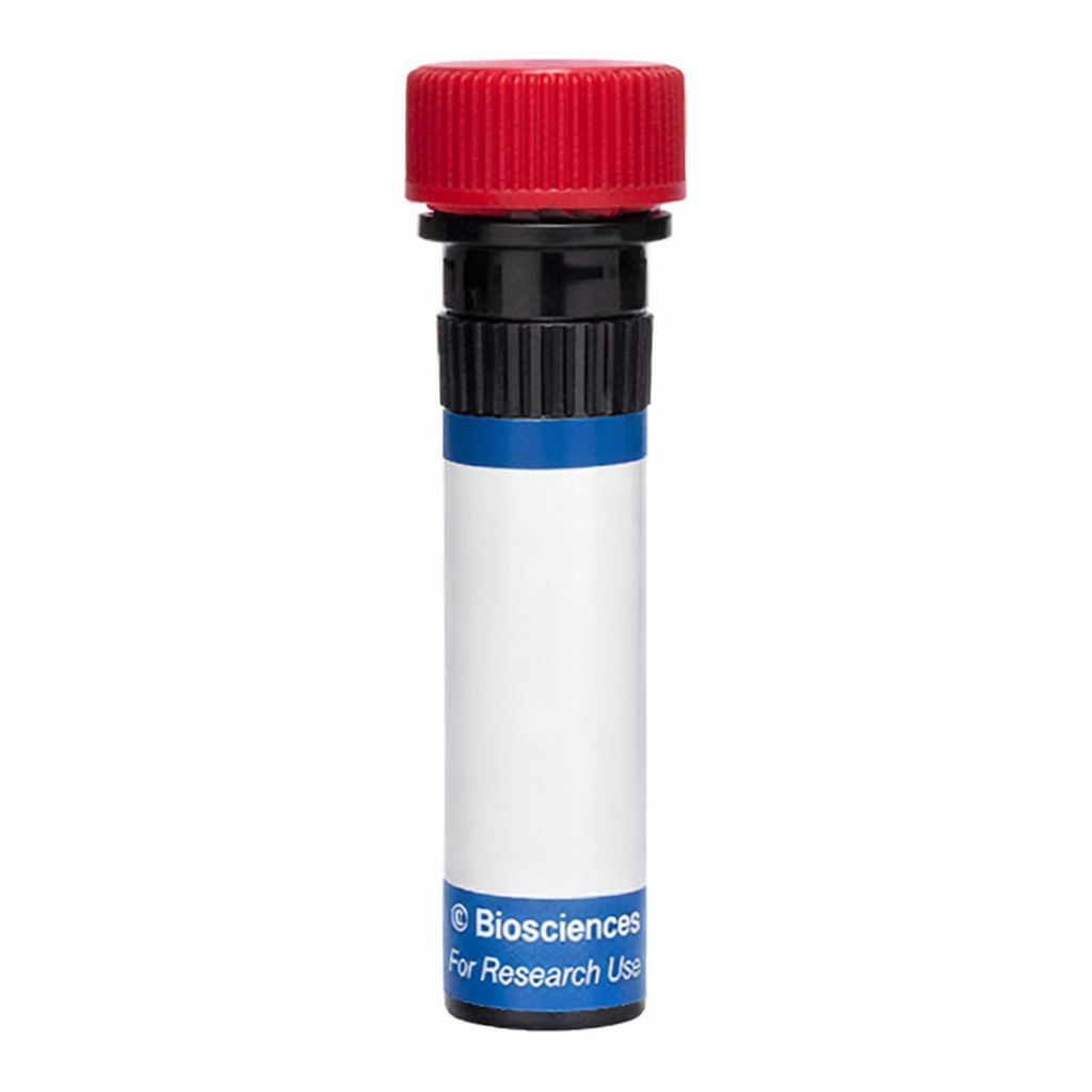 BD RB670 Rat Anti-Mouse CD123 (IL-3 Receptor α)