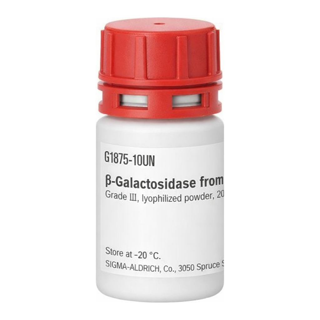 Merck beta-Galactosidase from bovine liver