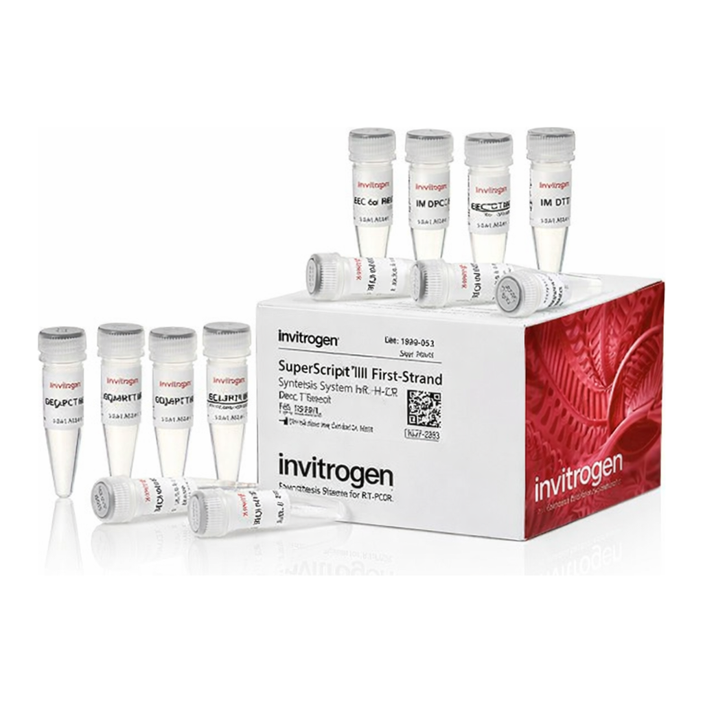 Thermo Fisher Scientific SuperScript III First-Strand Synthesis System