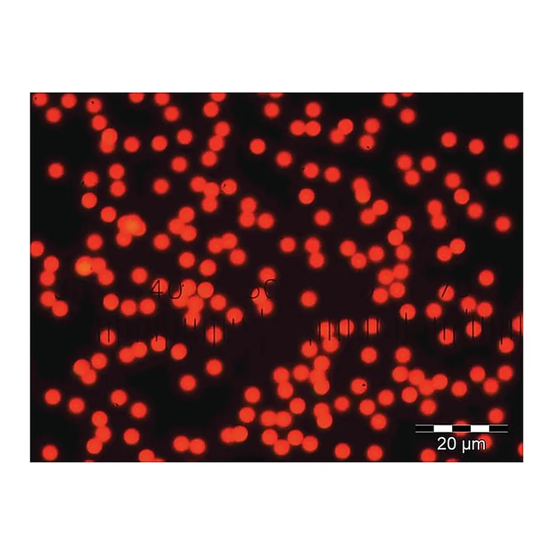 Thermo Fisher Scientific Fluoro-Max Dyed Red Aqueous Fluorescent Particles, 0.90μm