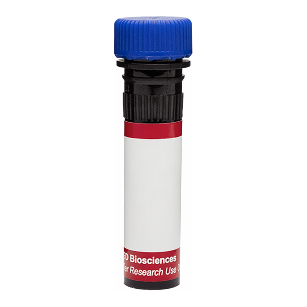 BD R718 Rat Anti-Mouse FR4 (Folate receptor 4)