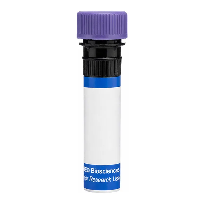 BD RB744 Rat Anti-Mouse FR4 (Folate receptor 4)