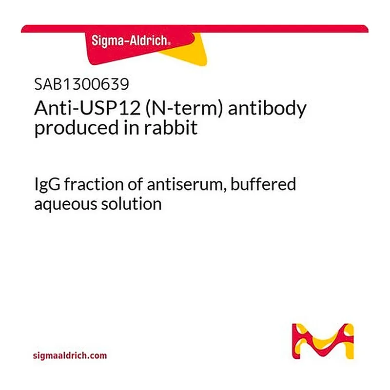 Merck Anti-USP12 (N-term) antibody produced in rabbit