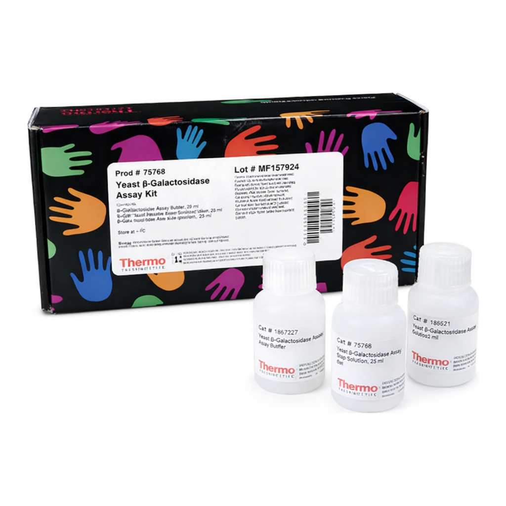Thermo Fisher Scientific Yeast beta-Galactosidase Assay Kit