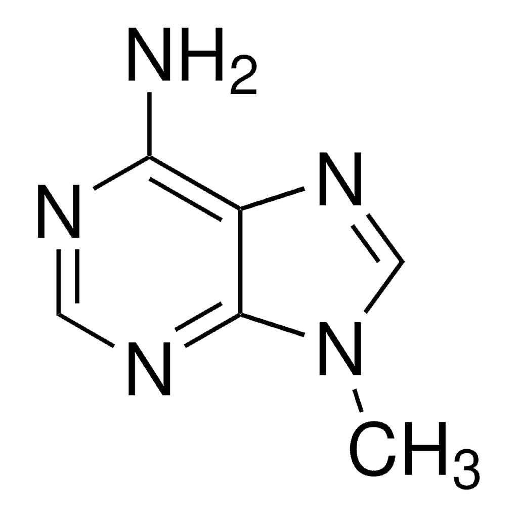 Merck 9-Methyladenine