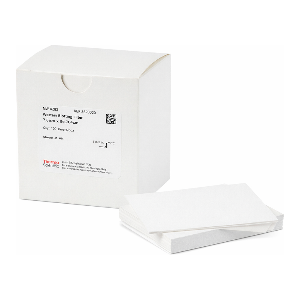 Thermo Fisher Scientific Western Blotting Filter Paper, 0.83 mm thick, 7 x 8.4 cm