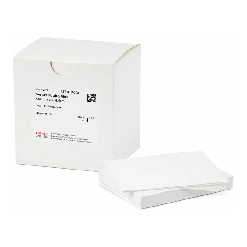 Thermo Fisher Scientific Western Blotting Filter Paper, 0.83 mm thick, 7 x 8.4 cm