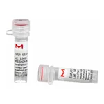 Merck MISSION(R) esiRNA