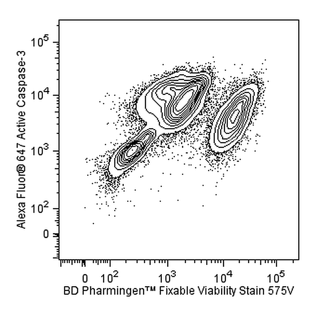 BD Fixable Viability Stain 575V