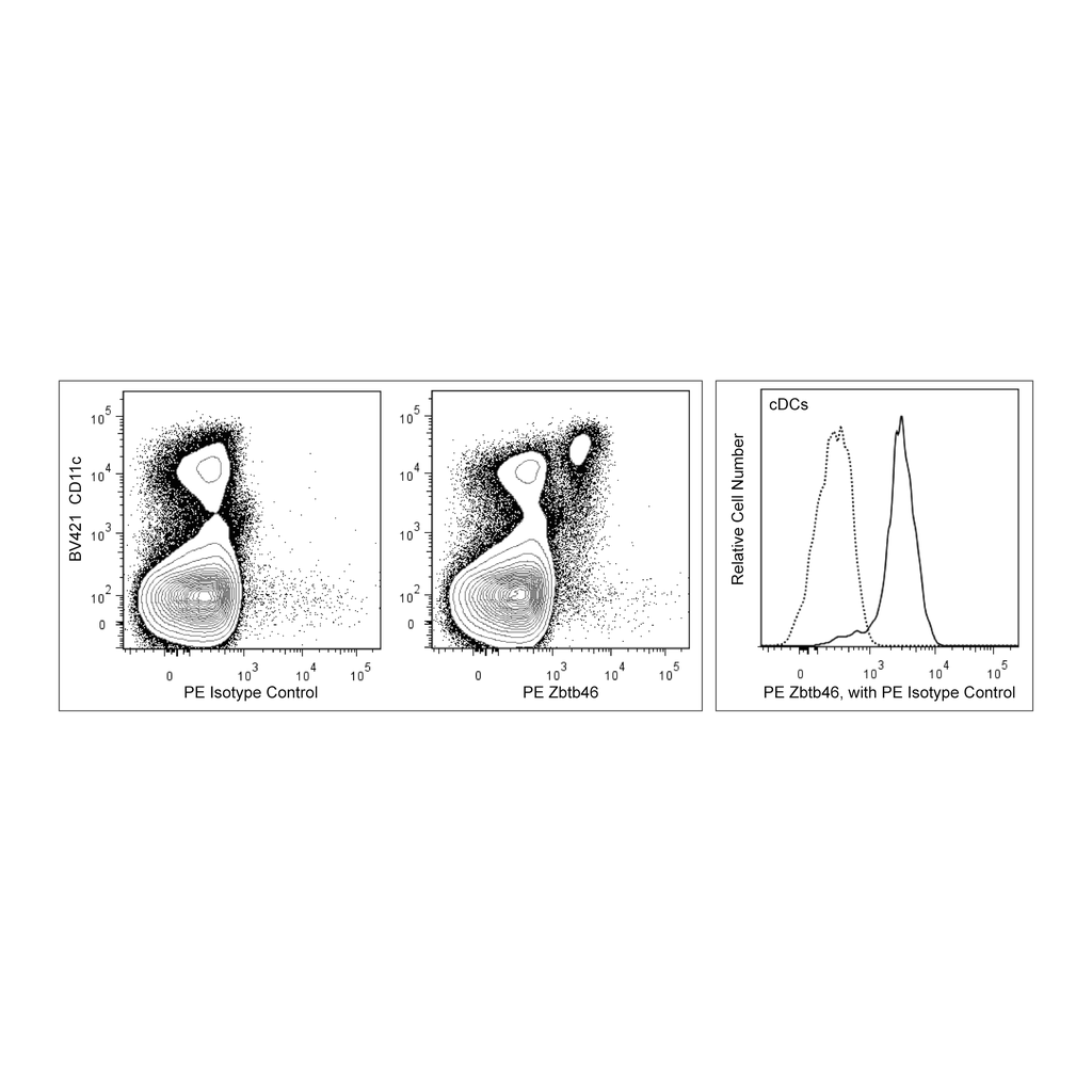 BD PE Rat Anti-Mouse Zbtb46