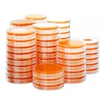 Kisanbio MBcell MYP (Mannitol Egg Yolk Polymyxin) Agar Plate / MB-M1390-P50