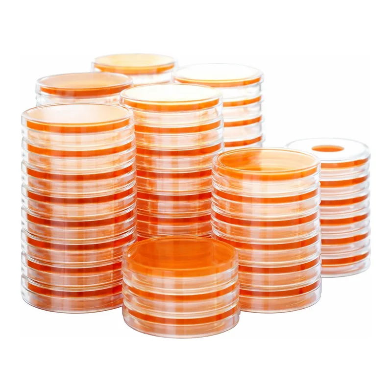 Kisanbio MBcell MYP (Mannitol Egg Yolk Polymyxin) Agar Plate / MB-M1390-P50