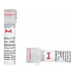 Merck MISSION(R) esiRNA