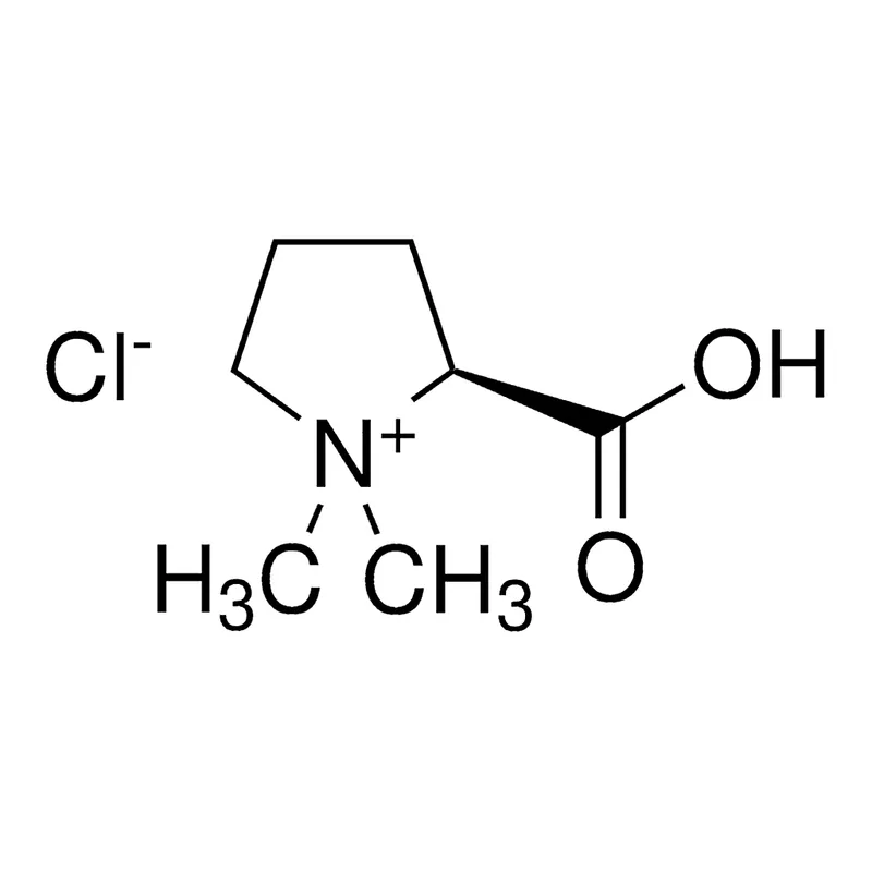 Merck Stachydrine chloride