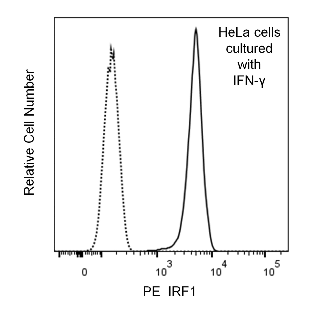 BD PE Mouse Anti-Human IRF1