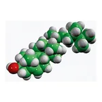 Merck CAMPESTEROL