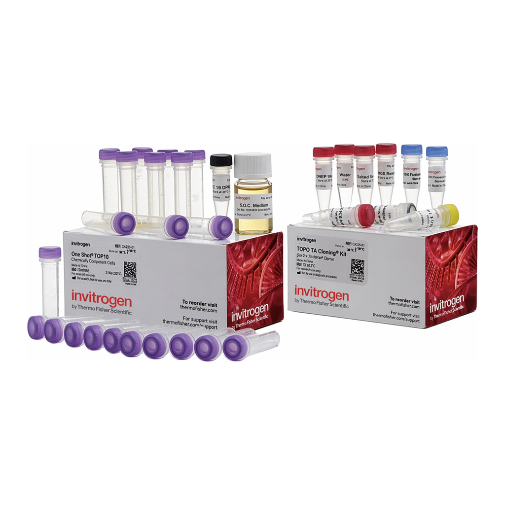 Thermo Fisher Scientific TOPO TA Cloning Kit for Subcloning, with One Shot TOP10 chemically competent E. coli cells, 25 Reactions