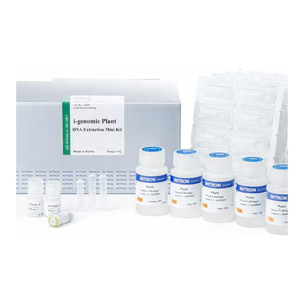 Intron i-genomic Plant DNA Extraction Mini Kit