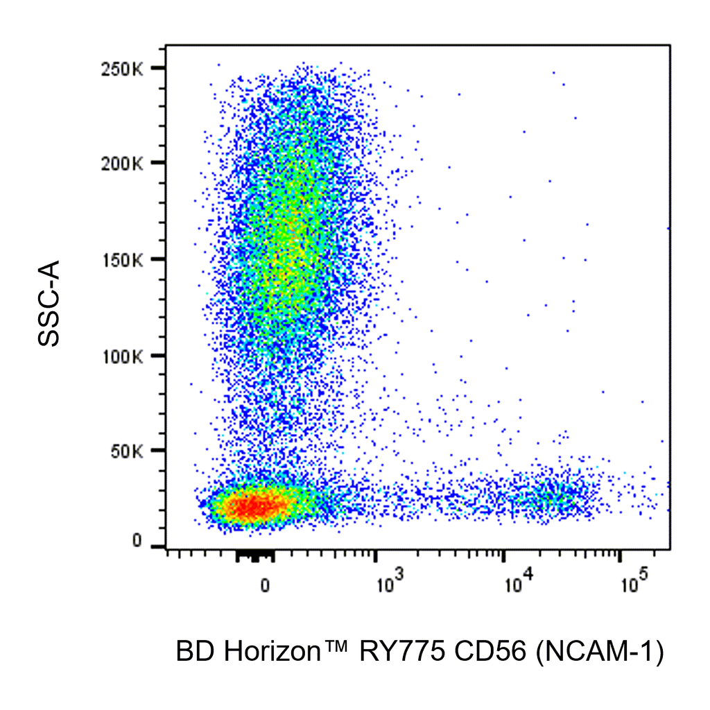 BD RY775 Mouse Anti-Human CD56 (NCAM-1)