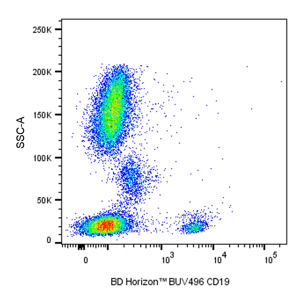 BD BUV496 Mouse Anti-Human CD19
