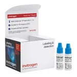 Thermo Fisher Scientific FxCycle Violet Ready Flow Reagent
