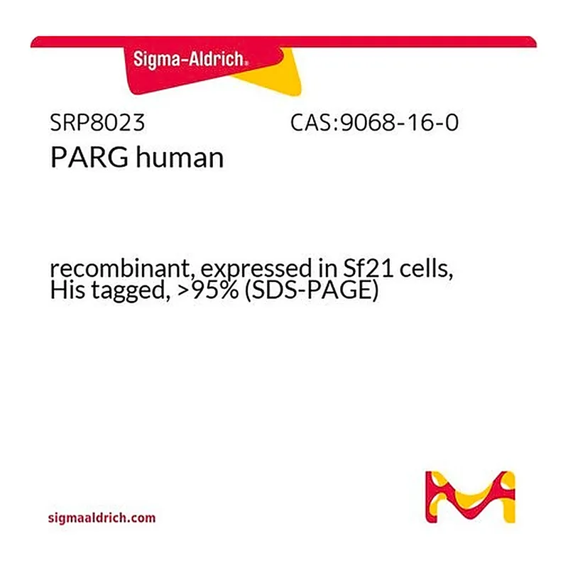 Merck PARG human