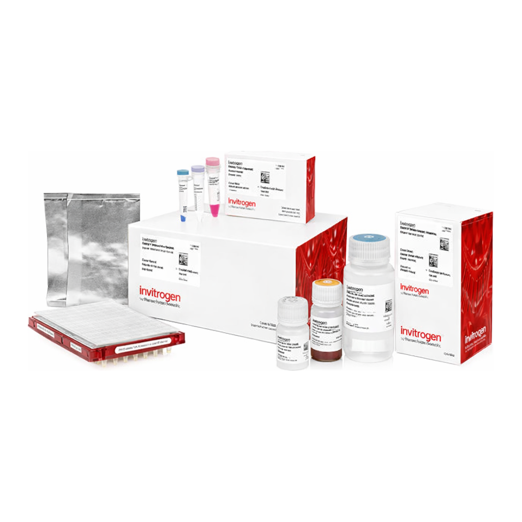 Thermo Fisher Scientific Collibri PCR-free ES DNA Library Prep Kit for Illumina Systems, with CD indexes, 24 preps