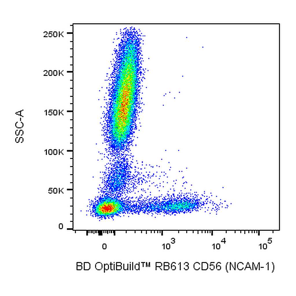 BD RB613 Mouse Anti-Human CD56 (NCAM-1)