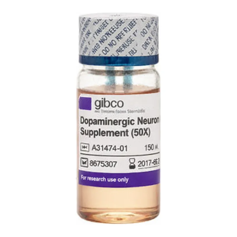 Thermo Fisher Scientific Dopaminergic Neuron Maturation Supplement