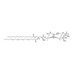 Merck 17:0-20:4 PI(3,4)P2