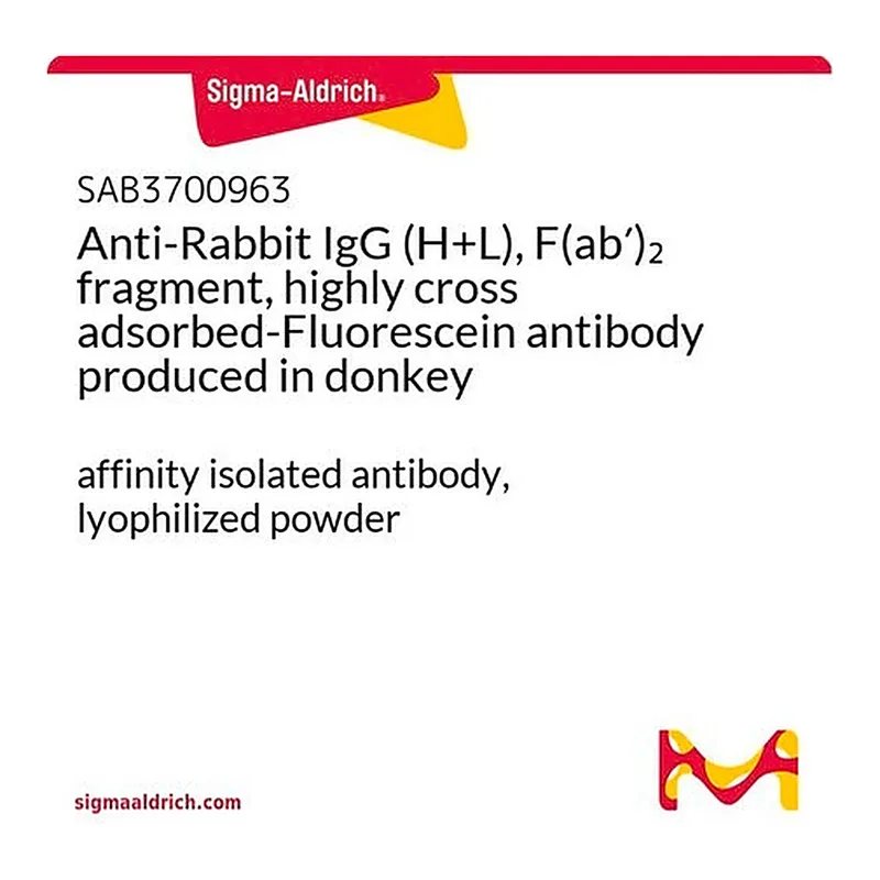 Merck Anti-Rabbit IgG (H+L), F(ab')2 fragment, highly cross adsorbed-Fluorescein antibody produced in donkey