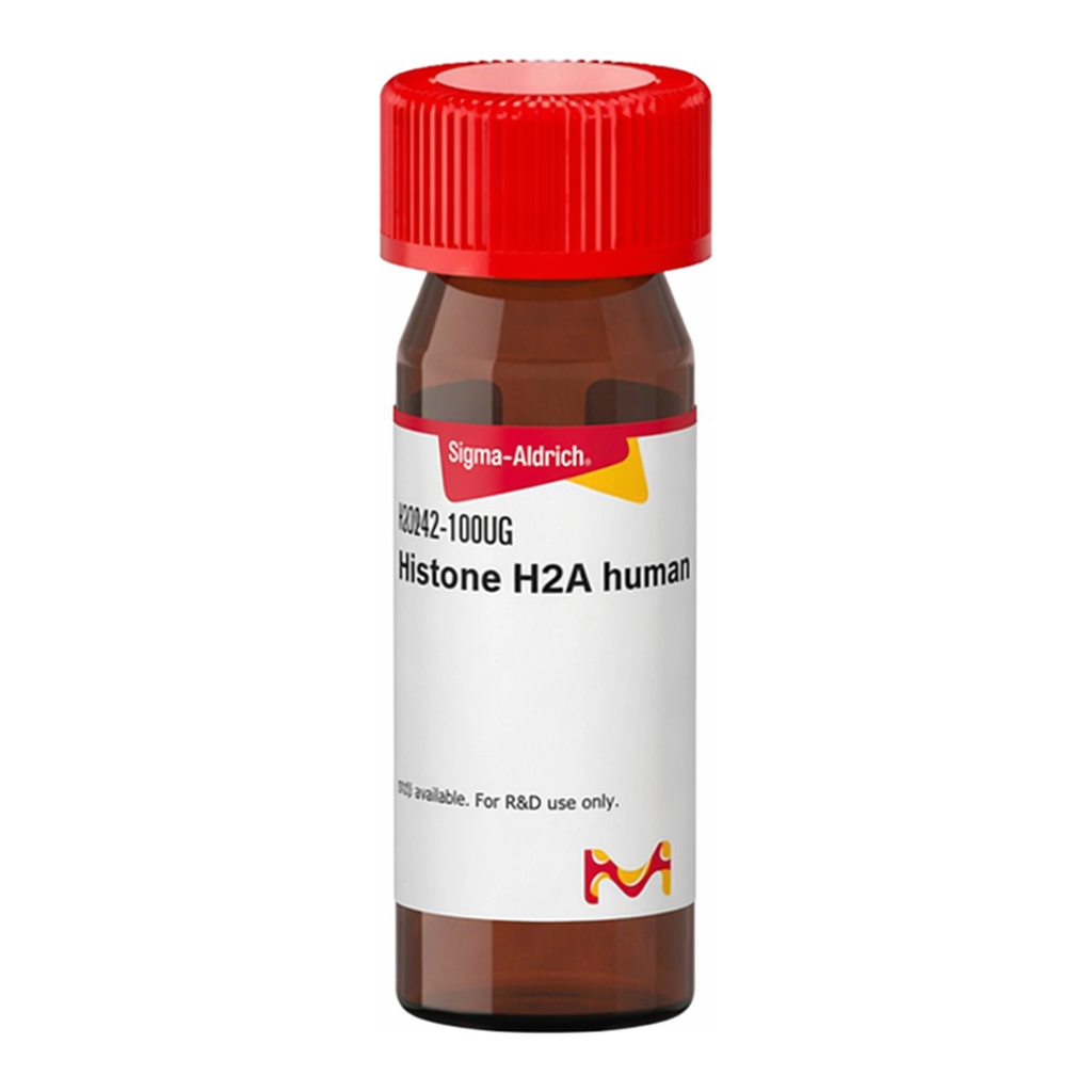 Merck Histone H2A human