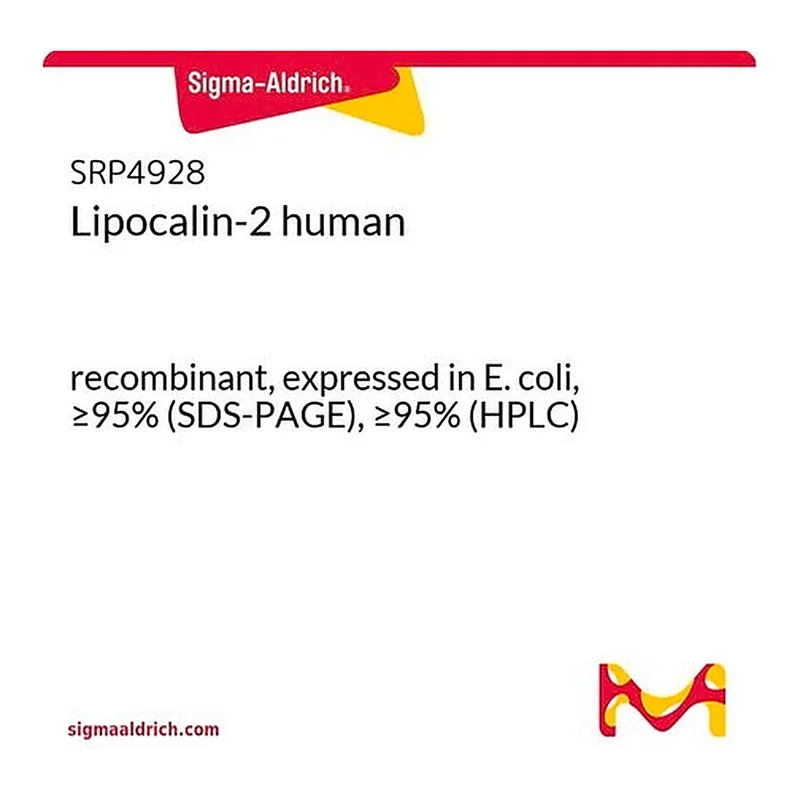 Merck Lipocalin-2 human