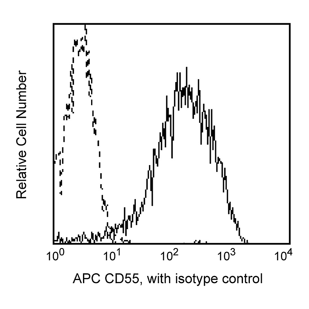 BD APC Mouse Anti-Human CD55