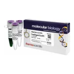 Thermo Fisher Scientific FastDigest Eco91I