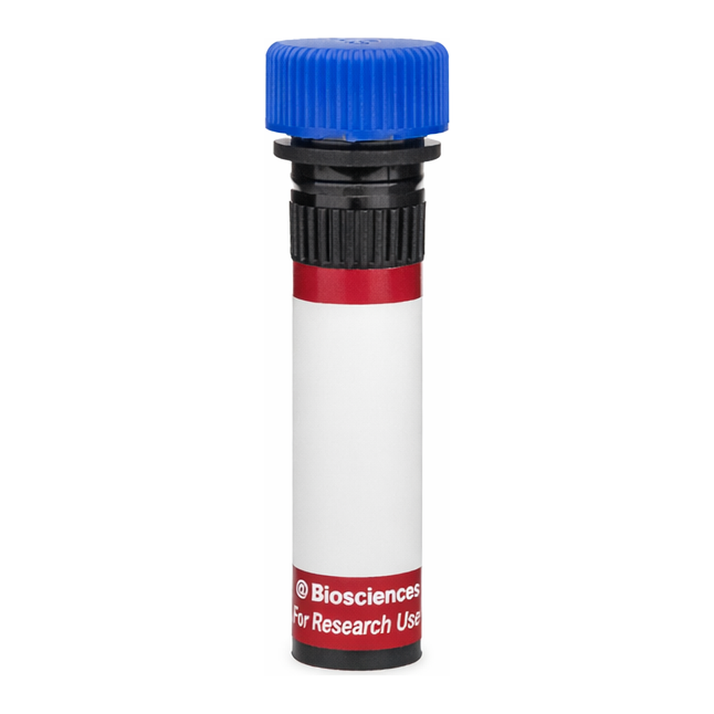 BD R718 Hamster Anti-Mouse Vγ 2 T-Cell Receptor