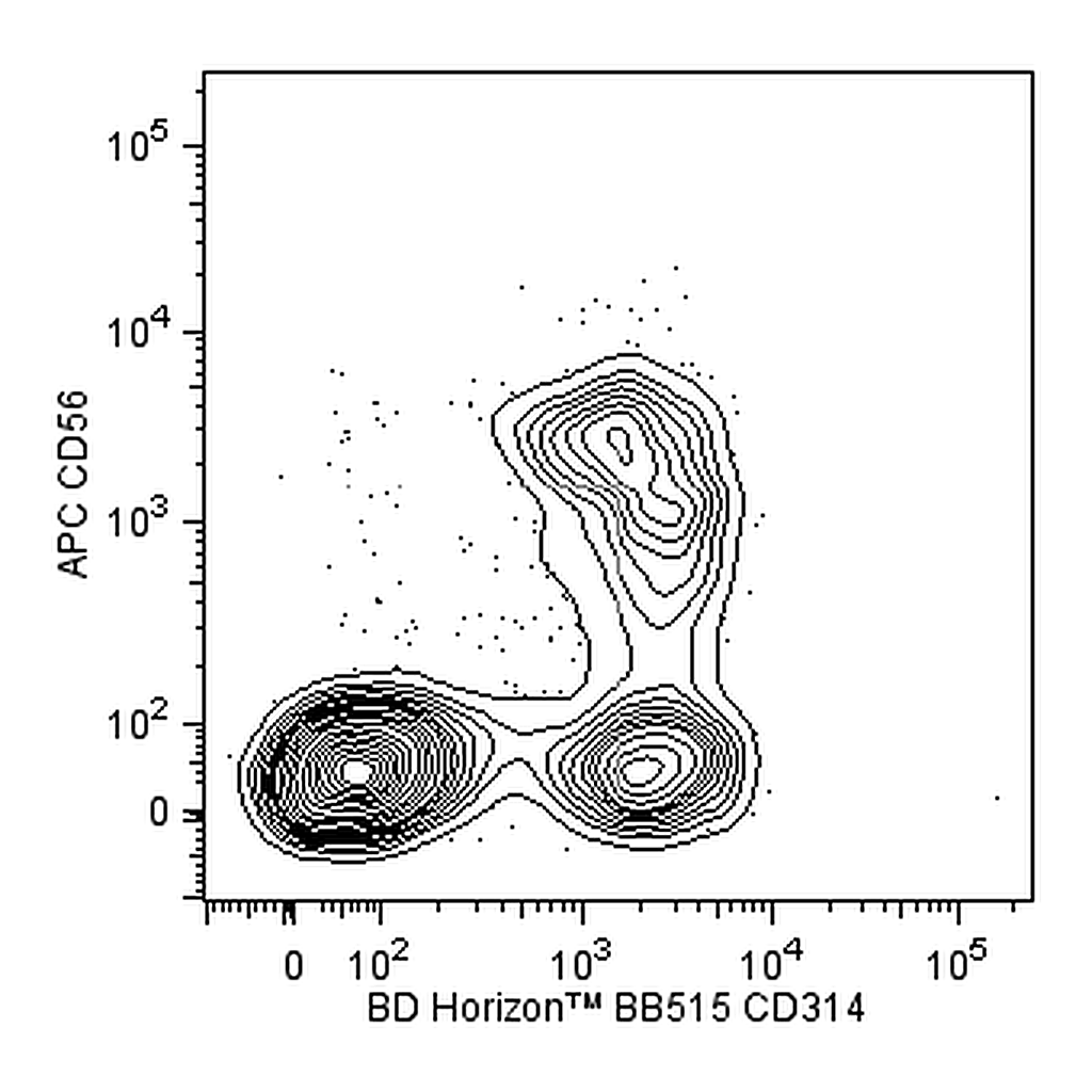 BD BB515 Mouse Anti-Human CD314 (NKG2D)