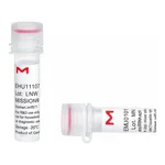 Merck MISSION(R) esiRNA