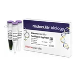 Thermo Fisher Scientific FastDigest HpyF10VI