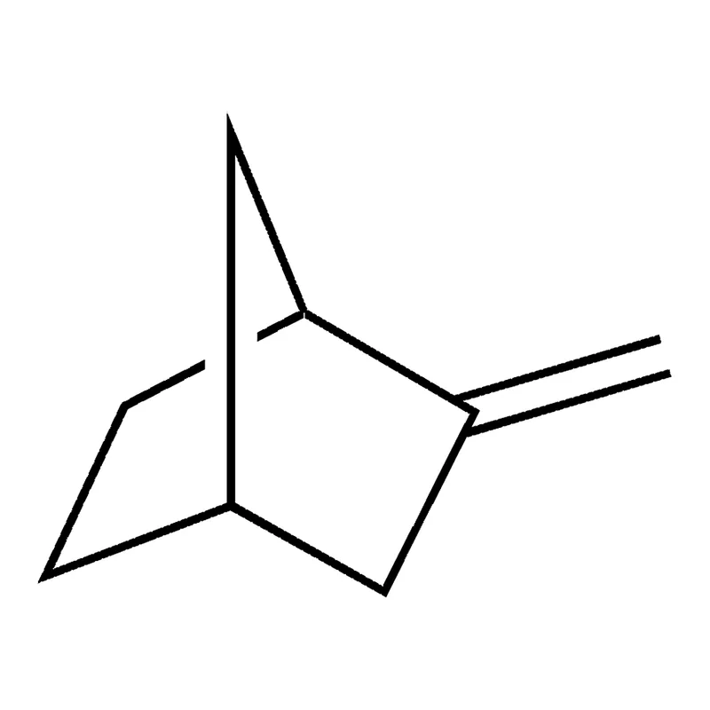 Merck 2-METHYLENE-BICYCLO(2.2.1)HEPTA-